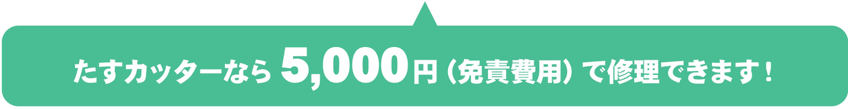 たすカッターなら5,000円(免責費用)で修理できます!