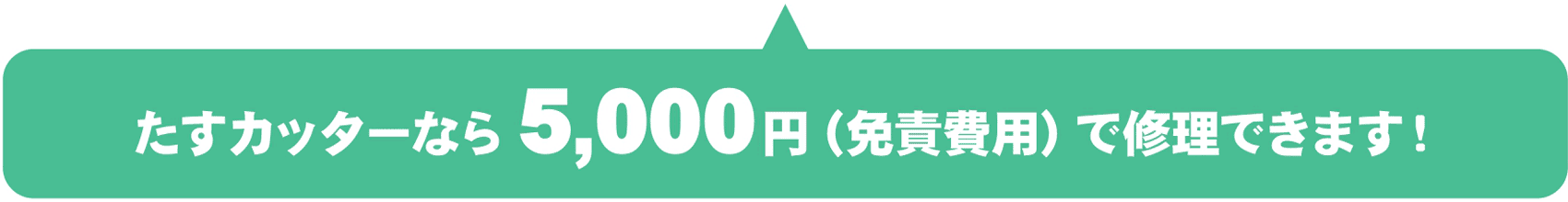 たすカッターなら5,000円(免責費用)で修理できます!
